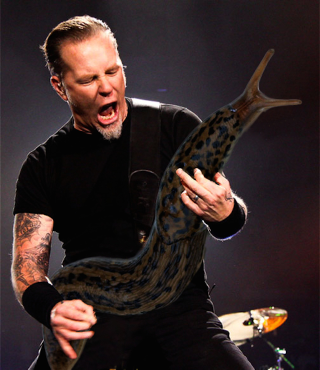 Illustration for article titled Our New Favorite Tumblr: SLUG SOLOS